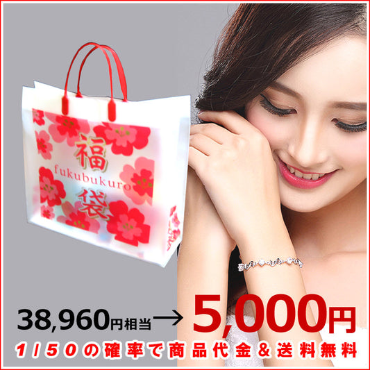 新春福袋 2025 ジュエリー 豪華 5点セット ネックレス ブレスレット ピアス お楽しみ 人気 アクセサリー happybag2025 セール