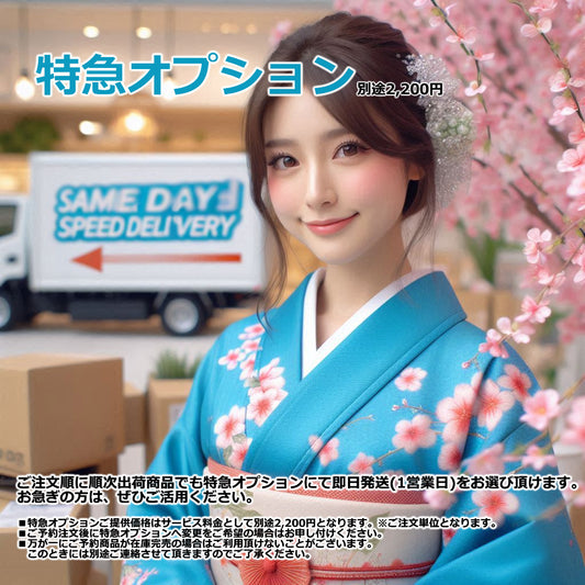 ウルトラセール対象商品の特急オプション(別途特急料)