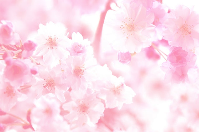 MEGAMI PROJECT JEWELRY