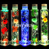 Mother's Day Gift Jewelry Glowing Herbarium Set Preserved Flowers Women Flowers LED Coaster Gift Present Mother's Day Gift Jewelry Glowing Herbarium Set Preserved Flowers Women Flowers LED Coaster Gift Present