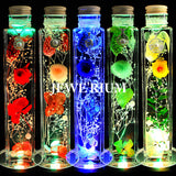 Mother's Day Gift Jewelry Glowing Herbarium Set Preserved Flowers Women Flowers LED Coaster Gift Present Mother's Day Gift Jewelry Glowing Herbarium Set Preserved Flowers Women Flowers LED Coaster Gift Present