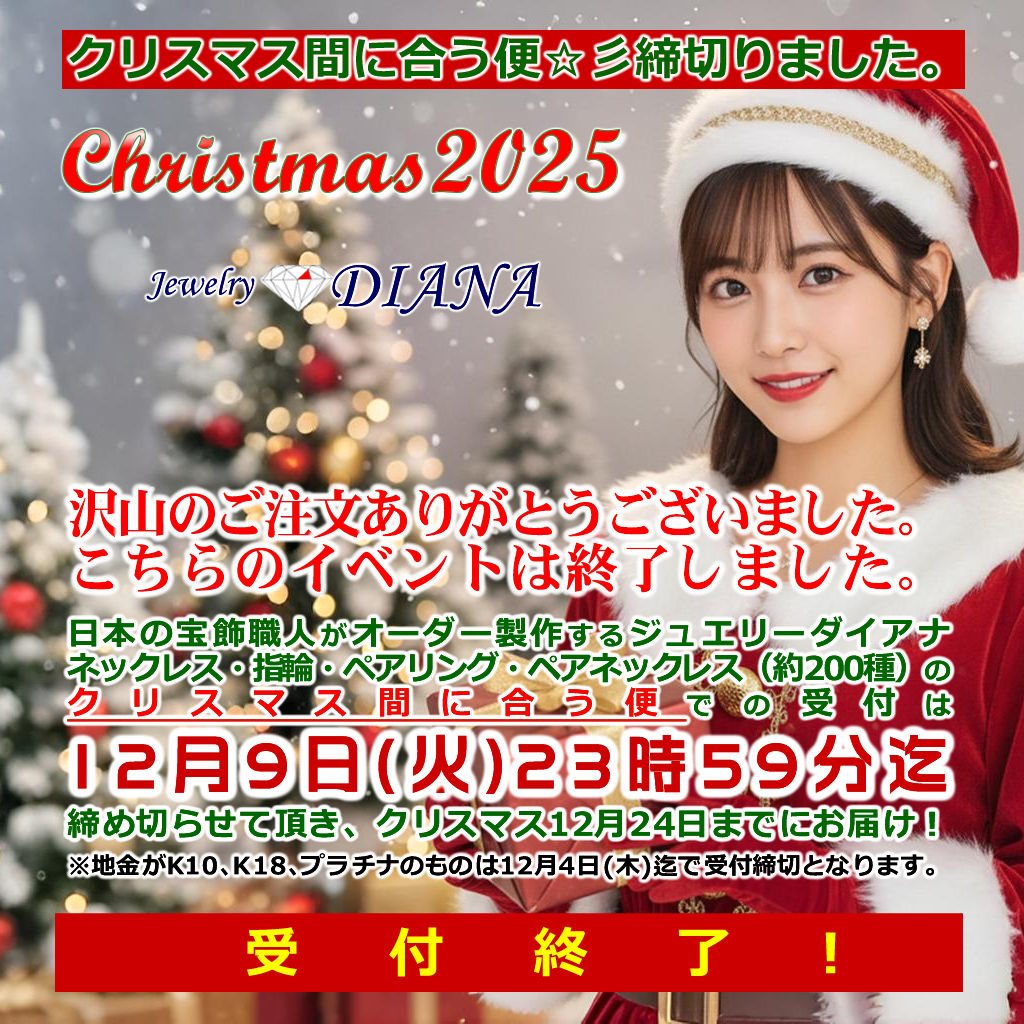 MEGAMI PROJECT JEWELRY