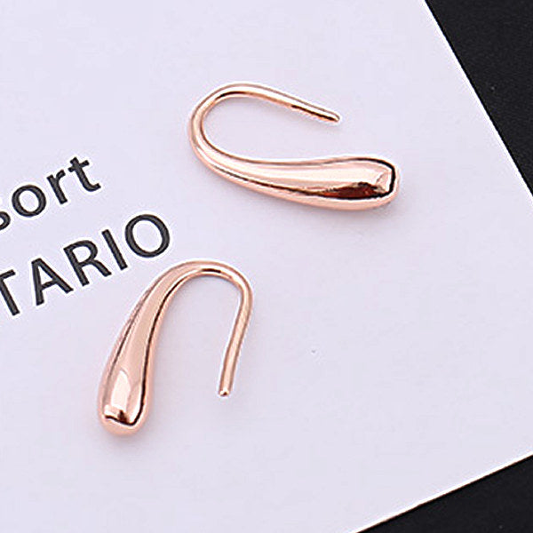 Earrings for ladies, drop earrings, simple hook, casual, platinum finish, gift present