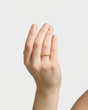 ポリッシュドリング